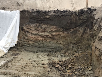 ИЖД в Холмогоровке